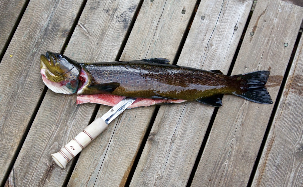10 Best Fishing Knife